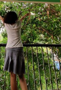 Rear view of woman standing by plants