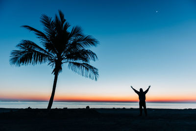 Silhouette palm tree on beach against sky during sunrise 