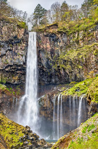 Scenic view of waterfall in forest