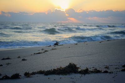 Scenic view of sea at sunset