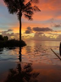 Silhouette palm tree against sky during sunset