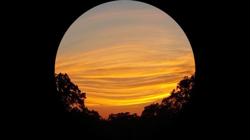 Silhouette of trees at sunset