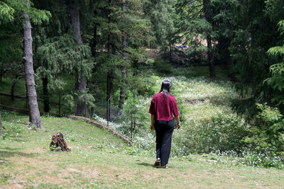 Rear view of a young girl walking in the jungle