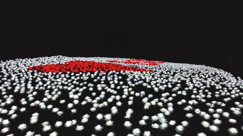 High angle view of umbrella on table against black background