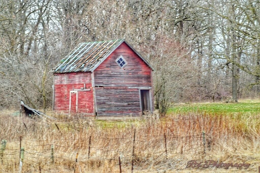 architecture, built structure, building exterior, house, tree, abandoned, residential structure, bare tree, field, barn, old, window, day, forest, outdoors, wood - material, door, no people, grass, nature