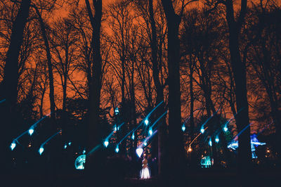View of illuminated trees at night