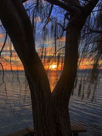 Silhouette bare tree by lake against sky during sunset