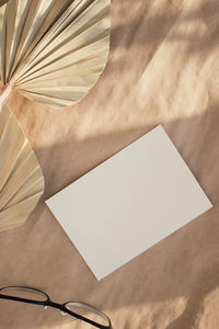 Minimal stationery still life. dry palm leafs on craft paper. blank paper card mock-up. 