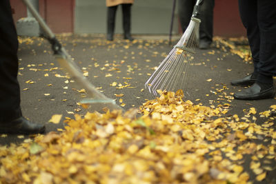 Low section of men standing on street during autumn