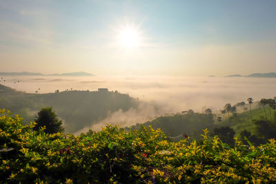 Scenic view of landscape against sky during sunset