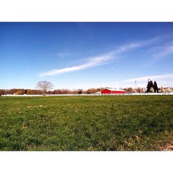 Scenic view of grassy field against sky