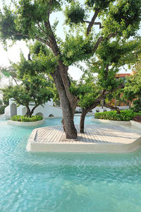 View of swimming pool against trees