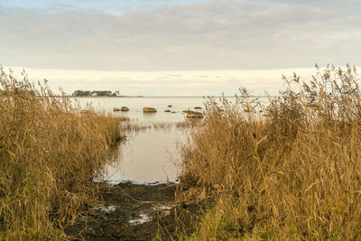 Altja village beach in lahemaa national park