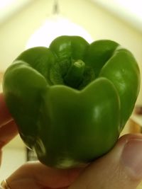 Close-up of hand holding fruit