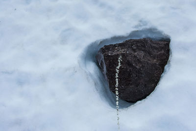 Close-up of snow