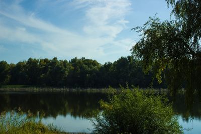 Scenic view of lake by trees against sky