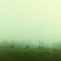 Scenic view of field in foggy weather