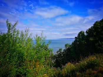 Scenic view of sea against sky