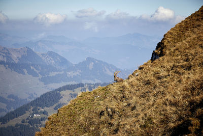 Scenic view of landscape and mountains against sky