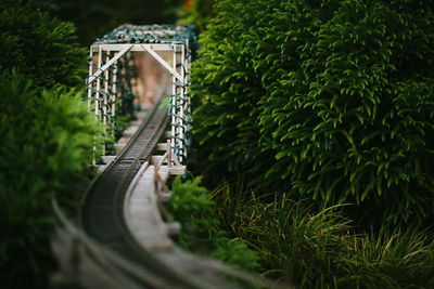 Tilt shift image of railway bridge amidst trees