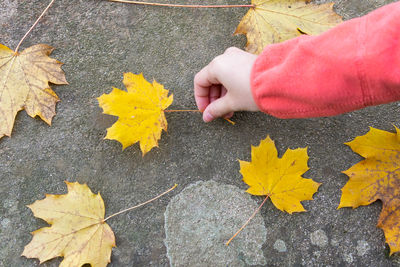 autumn