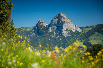 Scenic view of mountains against clear blue sky