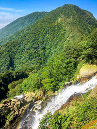 Scenic view of waterfall on mountain