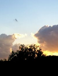 Low angle view of silhouette trees against sky