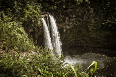 Scenic view of waterfall in forest