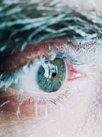 Close-up of human eye