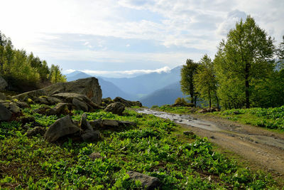 Scenic view of agricultural landscape against sky