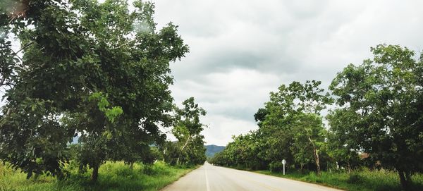 Road amidst trees against sky