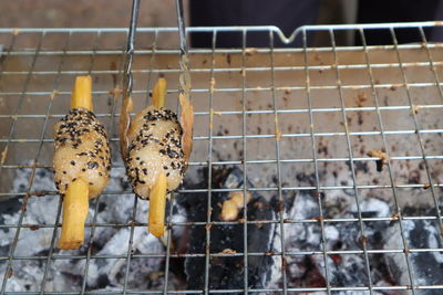 Close-up of giraffe in cage