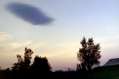 Low angle view of silhouette trees against sky during sunset