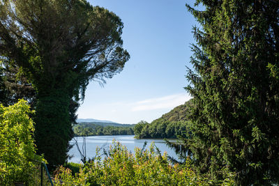 Scenic view of lake in forest against sky