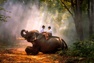 People sitting on land against trees