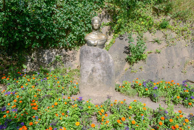 View of statue amidst plants in park