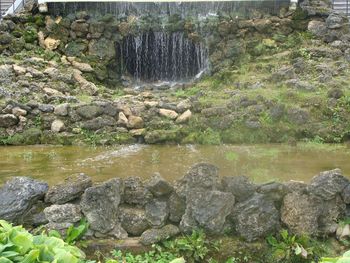 Scenic view of waterfall