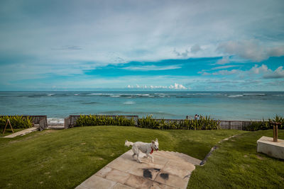 Beautiful beach in bali