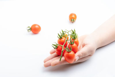 Midsection of person holding tomatoes