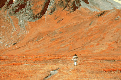 Rear view of man standing on mountain