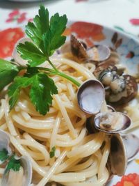 High angle view of pasta in plate on table