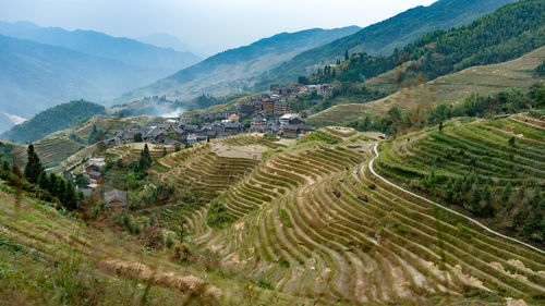 Scenic view of agricultural field against mountains