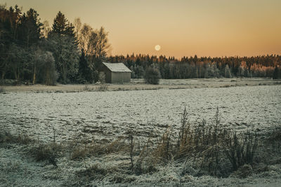 Scenic view of field by trees against sky during winter