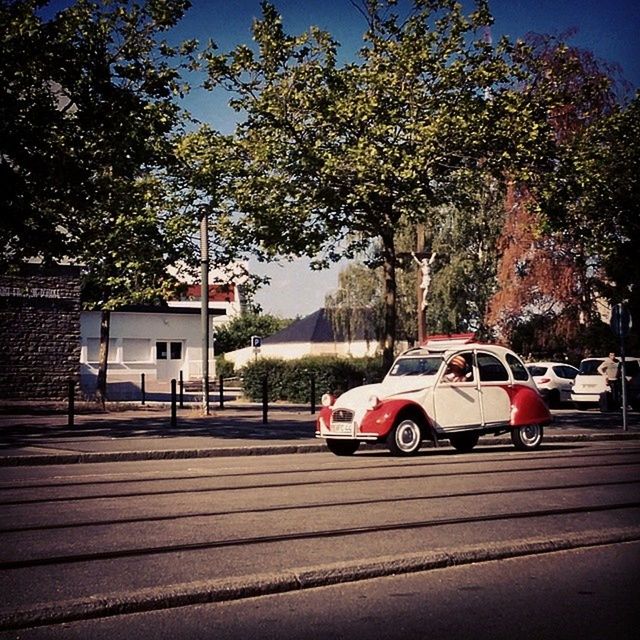 tree, transportation, mode of transport, land vehicle, car, road, sunlight, sky, clear sky, street, stationary, day, outdoors, empty, parking, shadow, bench, travel, growth, nature