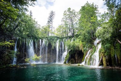 Scenic view of waterfall in forest