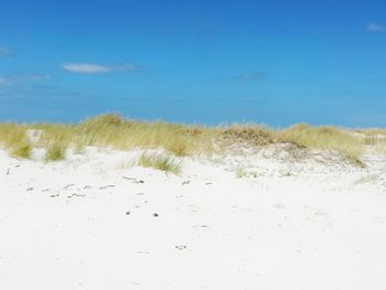 Scenic view of beach against blue sky