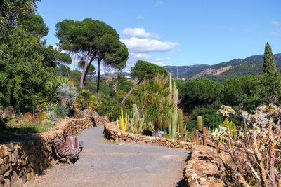 Conception garden, jardin la concepcion in malaga, spain, a bench in a park with cactus tree