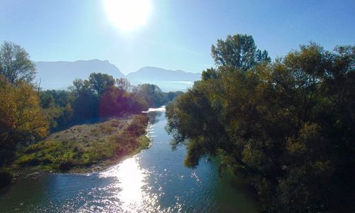 River amidst trees in forest against sky