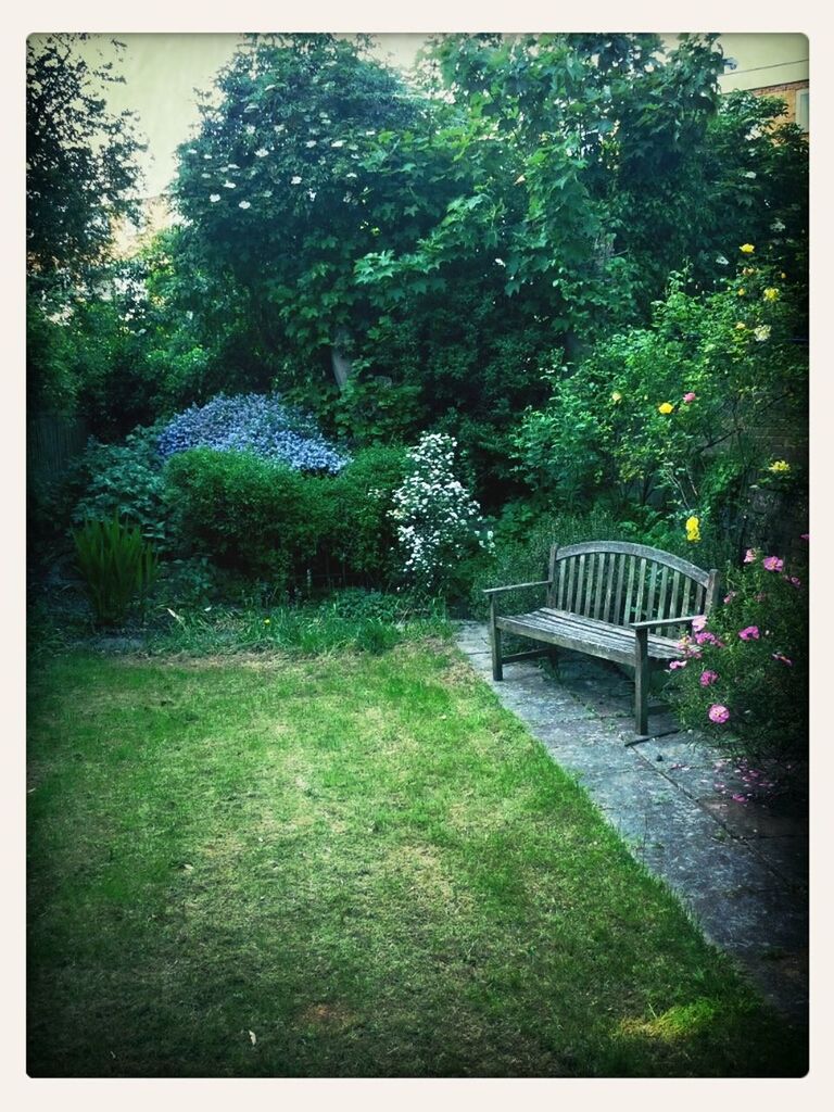 tree, transfer print, growth, plant, flower, grass, auto post production filter, nature, bench, green color, tranquility, park - man made space, beauty in nature, absence, empty, tranquil scene, railing, day, outdoors, no people